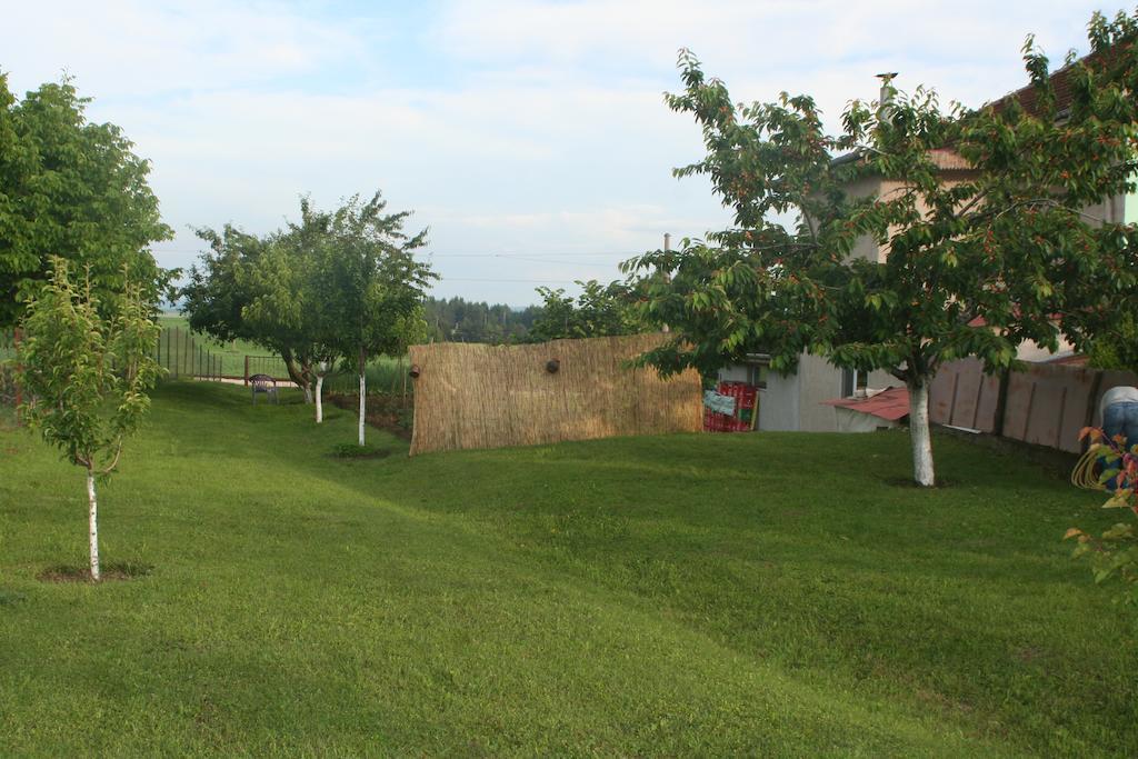 Guest House Edelvais Dve Mogili Exterior foto